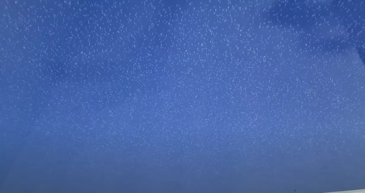 Пенза, Мира, 69, фото 3